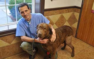 Dr. Leahy of Canine Knee Surgery