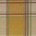 Autumn Plaid
