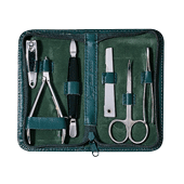 green leather zippered manicure set